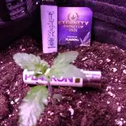 Eternity Grow Cup 2026