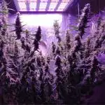 Der 2. Run ! .........die 2. !!!