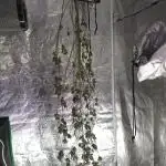 Wedding cake auto
