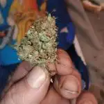 Wedding cake auto
