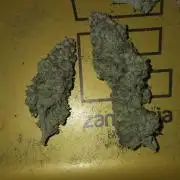 1 Lemon orange VS 1 Purple Lemonade