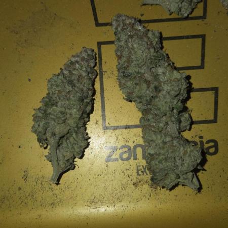 1 Lemon orange VS 1 Purple Lemonade