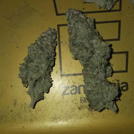 1 Lemon orange VS 1 Purple Lemonade