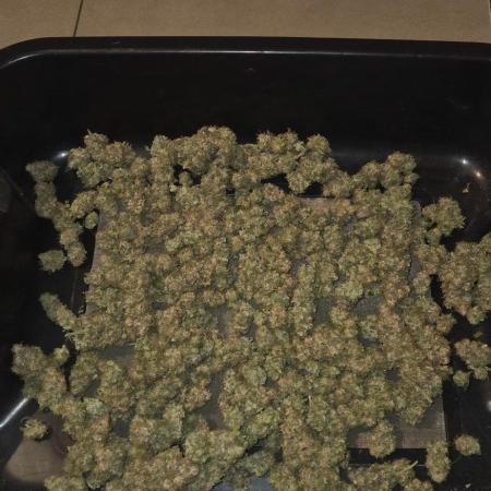Big Buddha Cheese