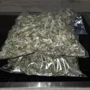 1 Lemon orange VS 1 Purple Lemonade