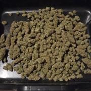 Chocolope