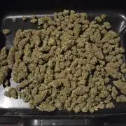 Chocolope