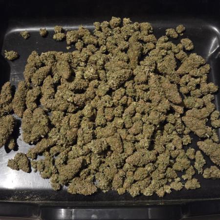 Chocolope