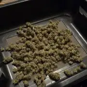 Orion F1 auto