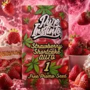 Strawberry Shortcake Auto