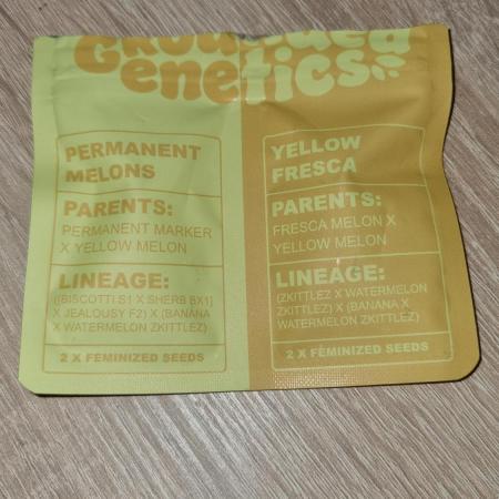Yellow Fresca Fem Photo