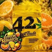 Lemon Mandarin