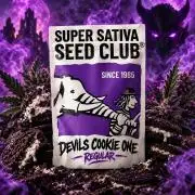 The Devils Cookie One Regular