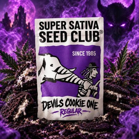 The Devils Cookie One Regular