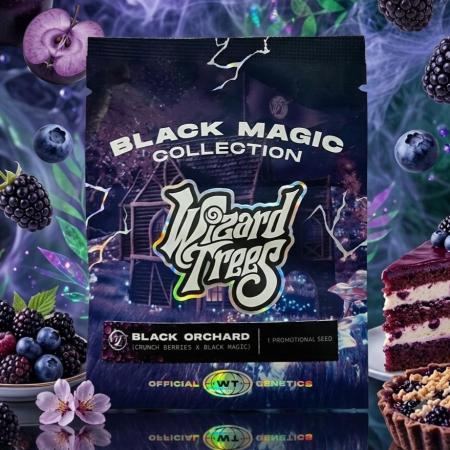 Black Orchard