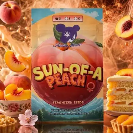 Sun of a Peach