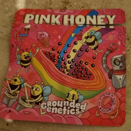 Pink Honey Fem Photo