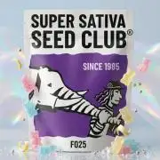 The White Sweet Candy OG One USAGenetics