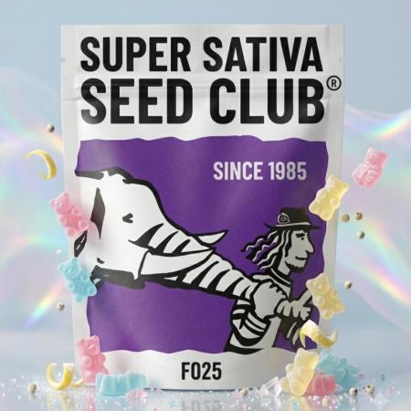 The White Sweet Candy OG One USAGenetics