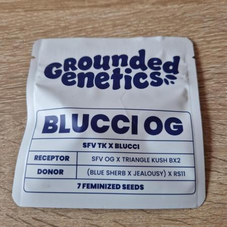 Blucci OG