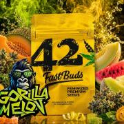 Gorilla Melon