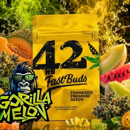 Gorilla Melon