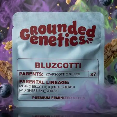 Bluzcotti Vaders Cut (2026)