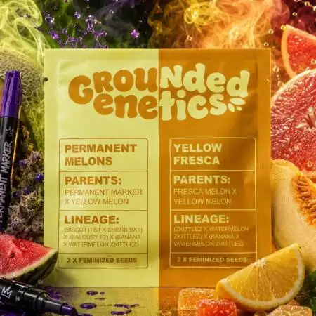 Permanent Melons (2026)