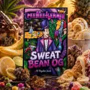 Sweat Bean OG