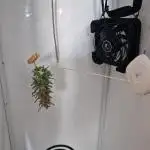 Southwest Facing Balcony Grow at 52° N