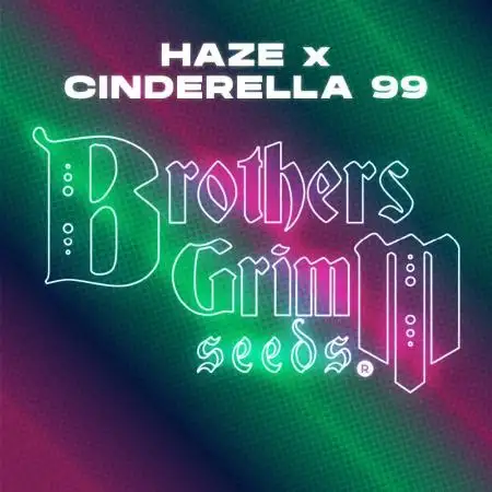 Testers from Brothers Grimm Seeds.