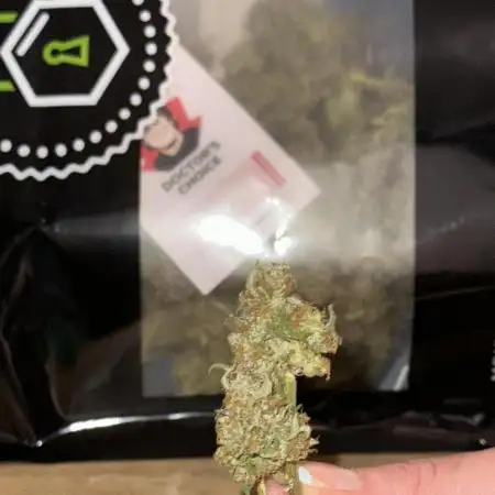 1st Auto Run 🇨🇦
