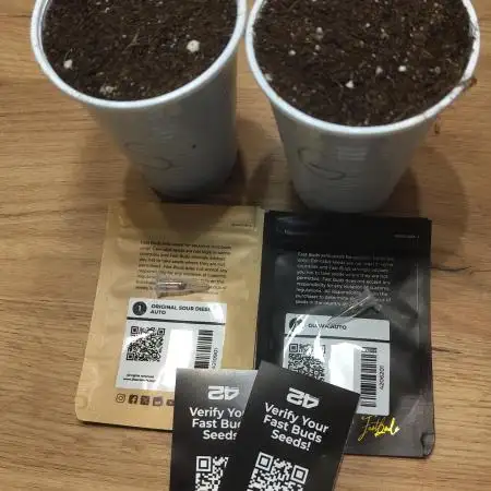 Sour diesel auto / Guava auto