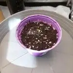 Red Lemonade (RS11×SuperLemonHaze)