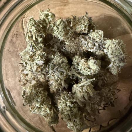 Arctic Flurry by Exotic Seed