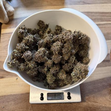 Lemon Cherry Cookies Auto