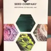 Blueberry by Dutch Passion