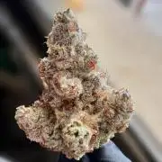 Slurricane #7 mother + clones party