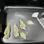 Auto gorilla