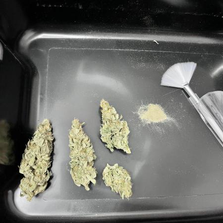 Auto gorilla