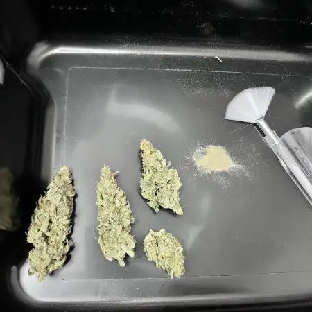 Auto gorilla