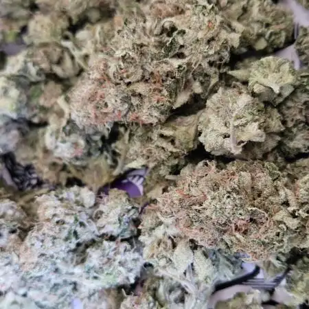 Lemon Shining Silver Haze