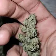 2. Big Bang Auto