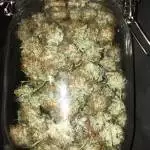 Northern lights RQS