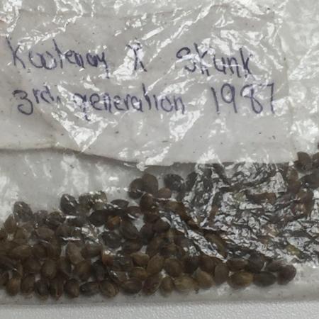 KOOTENAY SKUNK 1987