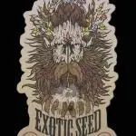Exotic Seed Georgia Cream