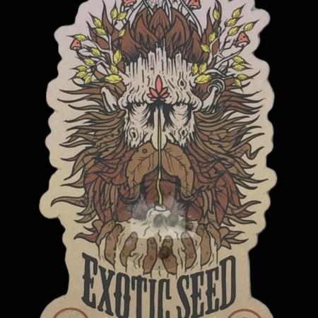 Exotic Seed Georgia Cream
