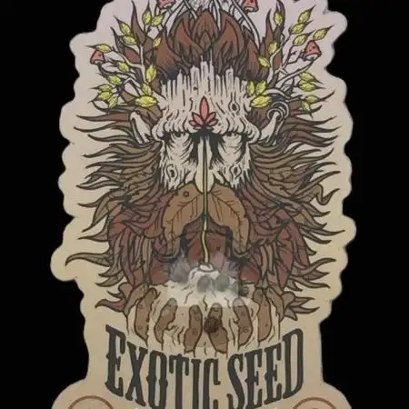 Exotic Seed Georgia Cream