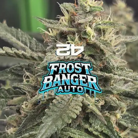 Frostbanger Sponsored by Fastbuds