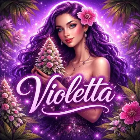 Violetta aka Banana Purple Punch